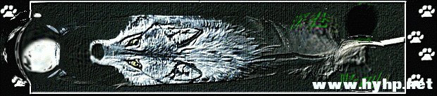 3.gif