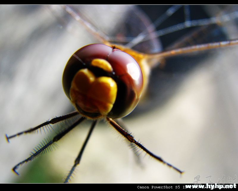 Ƭ 058.jpg