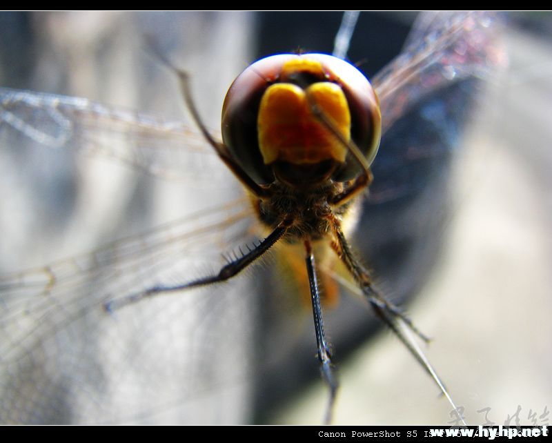 Ƭ 053.jpg