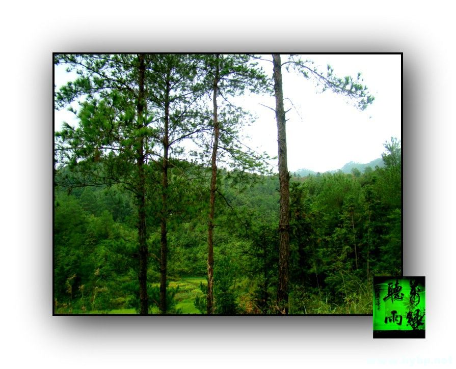 105.JPG