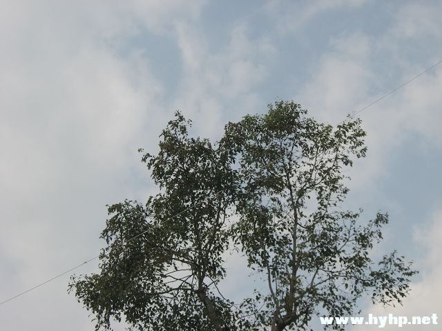 Ƭ (184).jpg