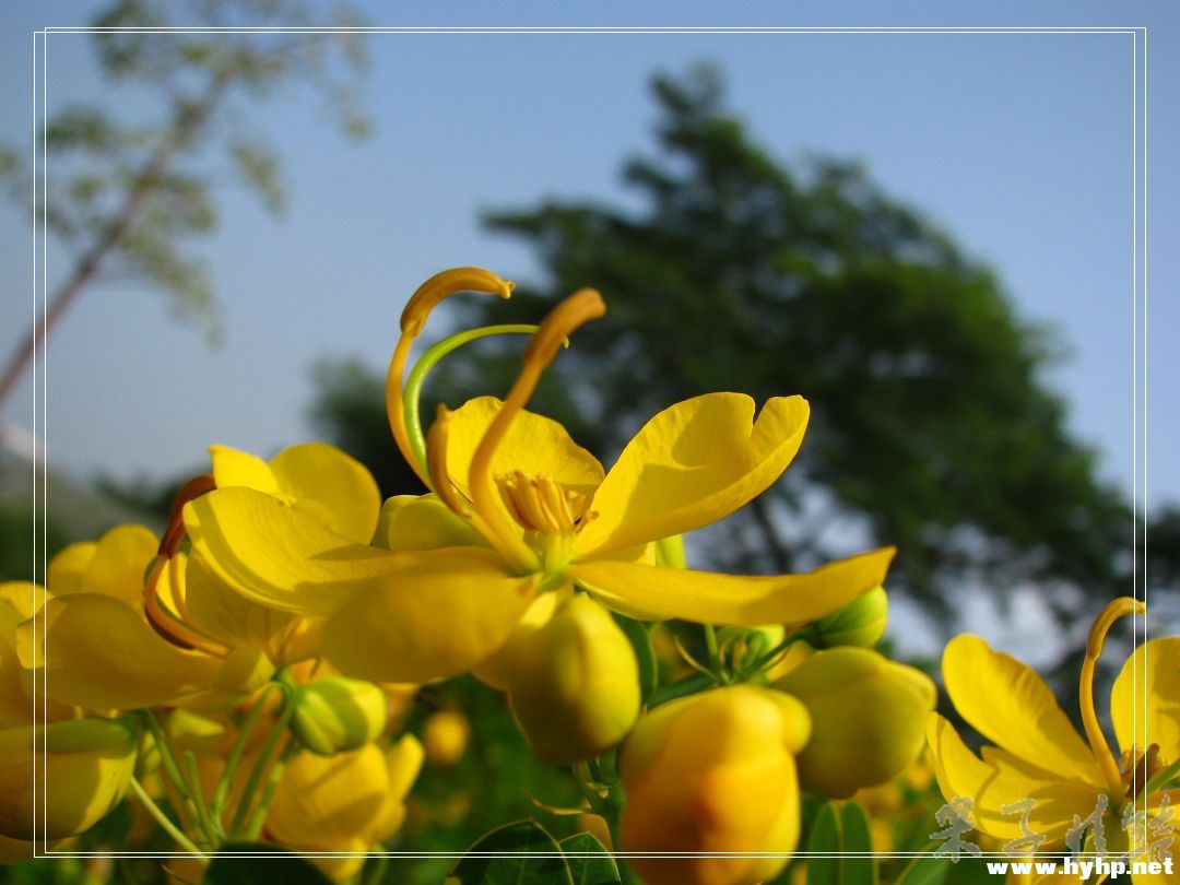 Ƭ 019.jpg
