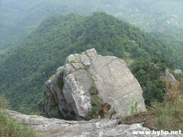 RIMG0241.JPG