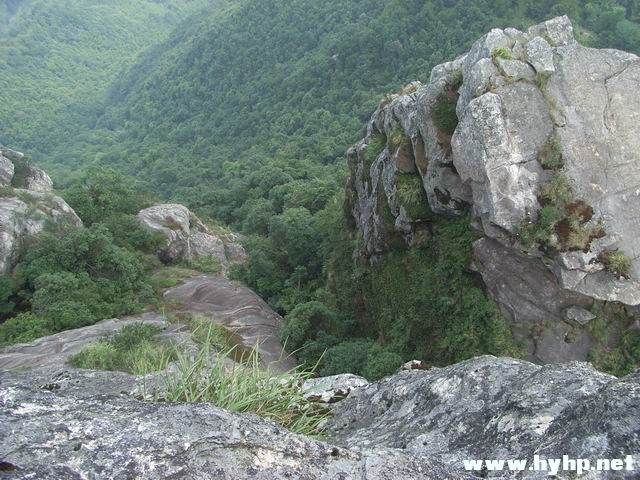 RIMG0247.JPG