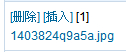 δ1.jpg