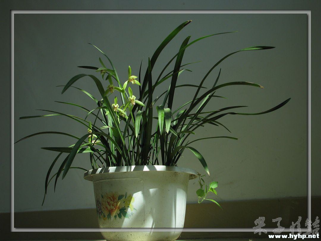 Ƭ 029.jpg