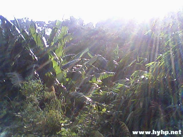 Ƭ-0010.jpg