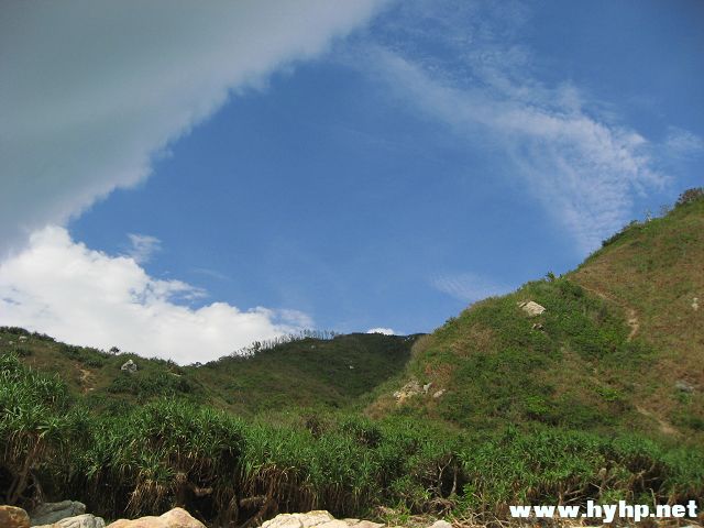 Ƭ 116.jpg