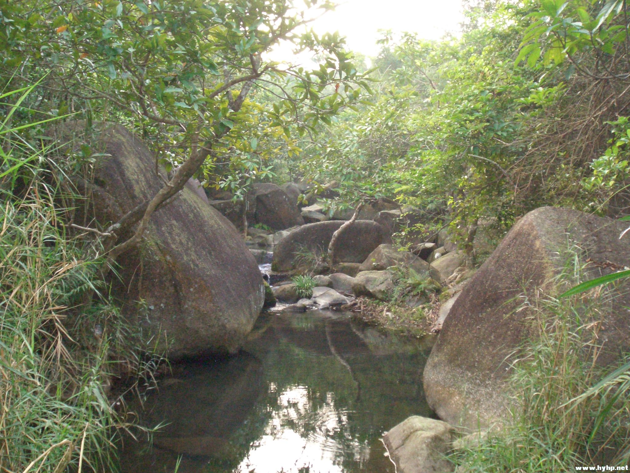 Ƭ 016.jpg