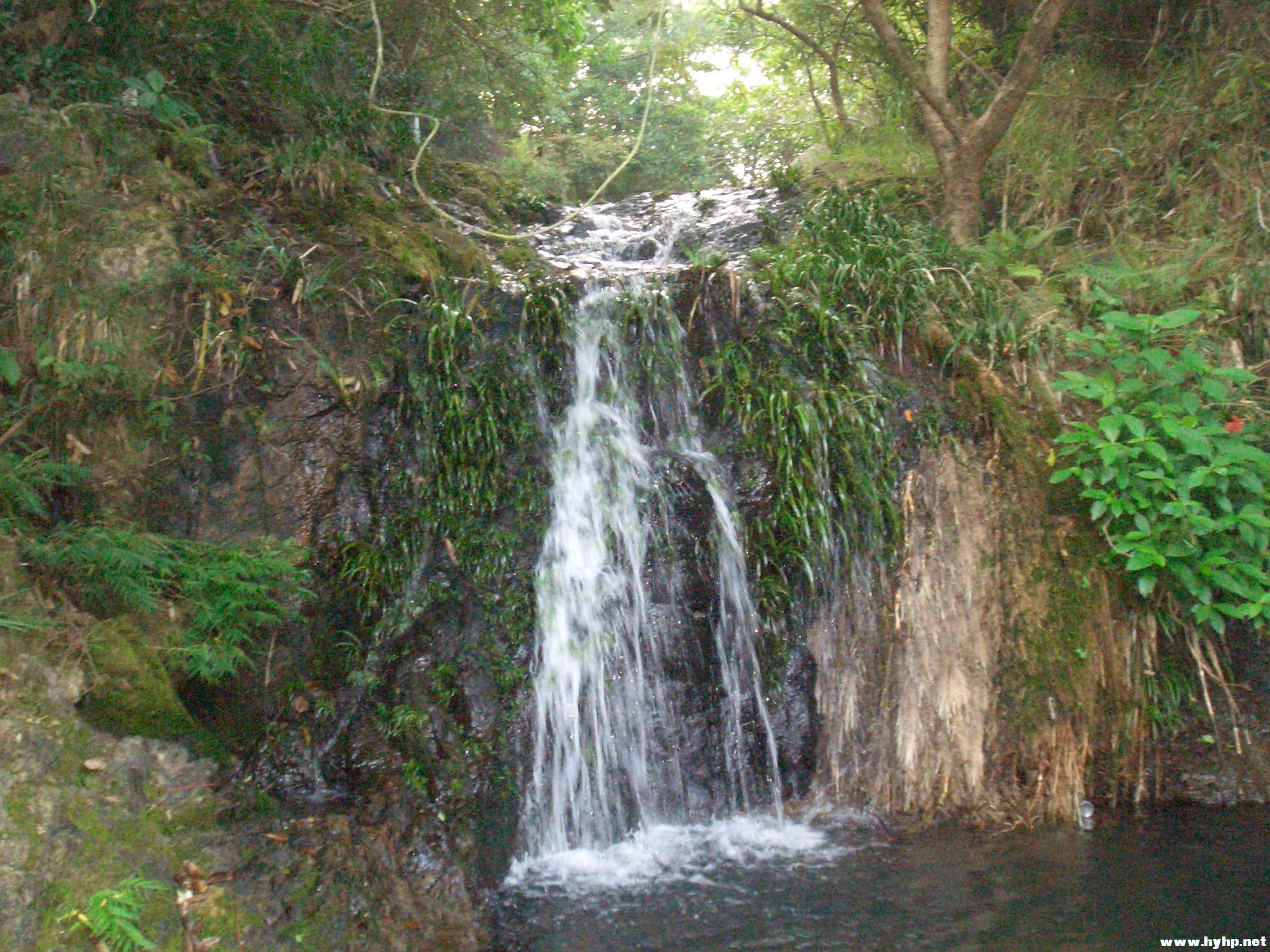 Ƭ 058.jpg