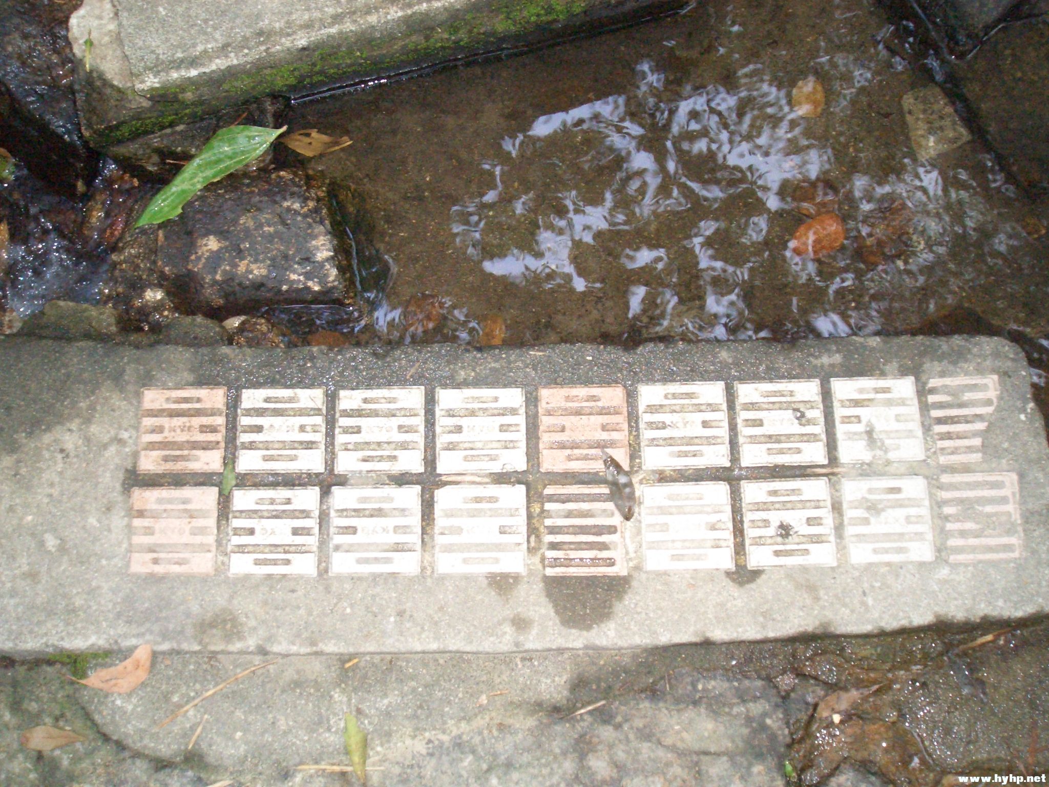 Ƭ 076.jpg