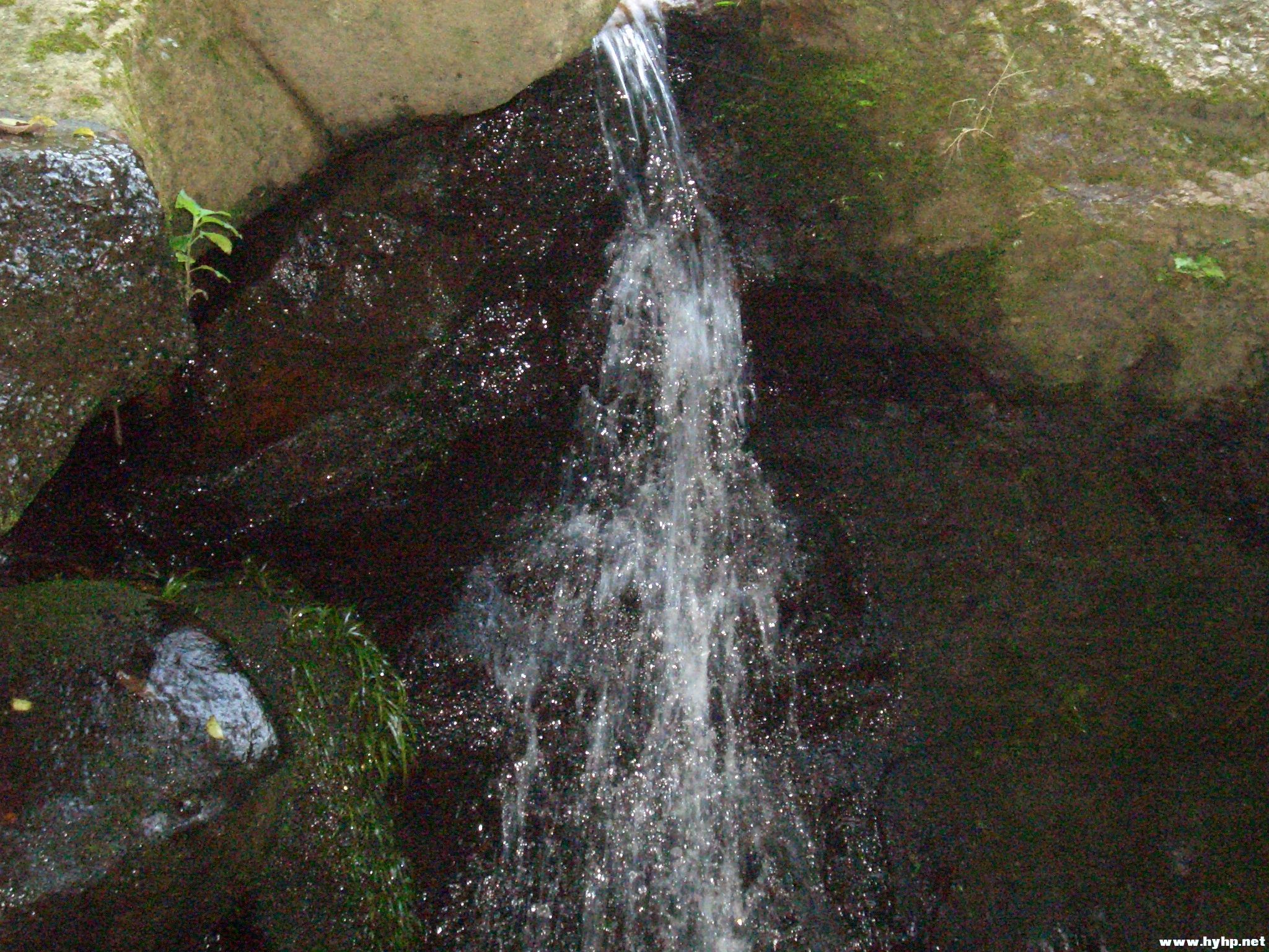 Ƭ 046.jpg