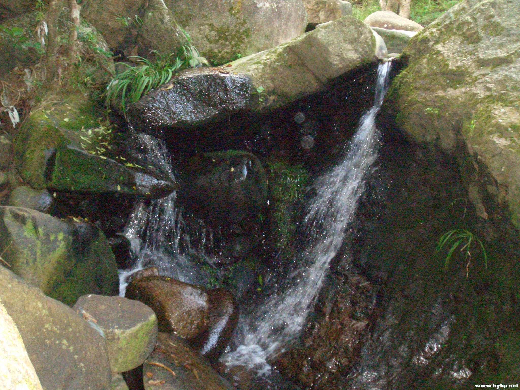 Ƭ 049.jpg