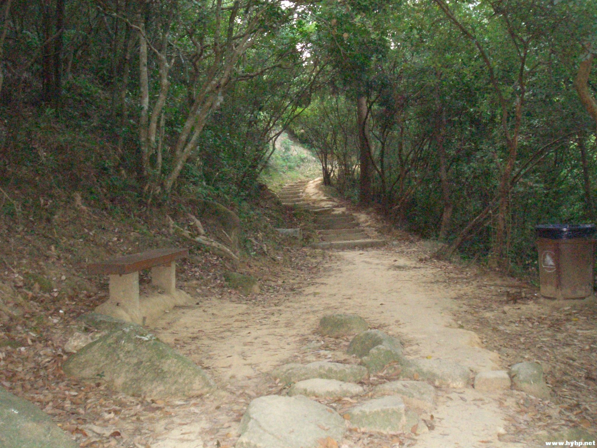 Ƭ 042.jpg