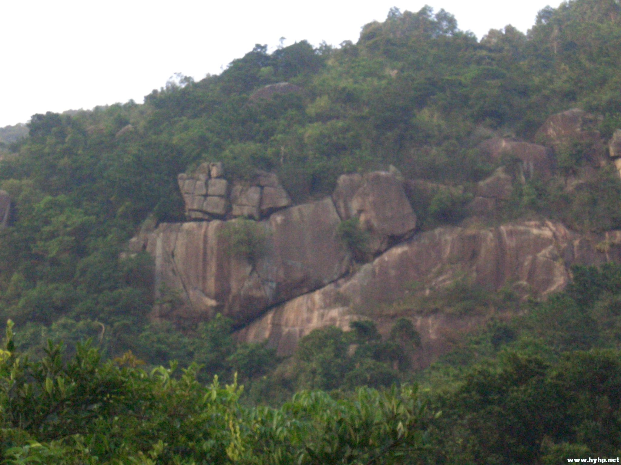 Ƭ 038.jpg
