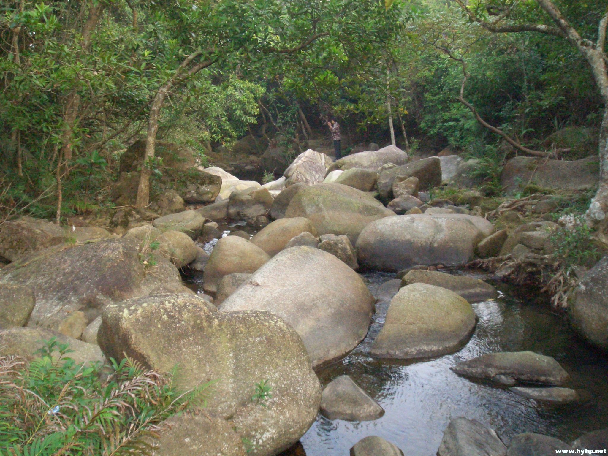 Ƭ 015.jpg