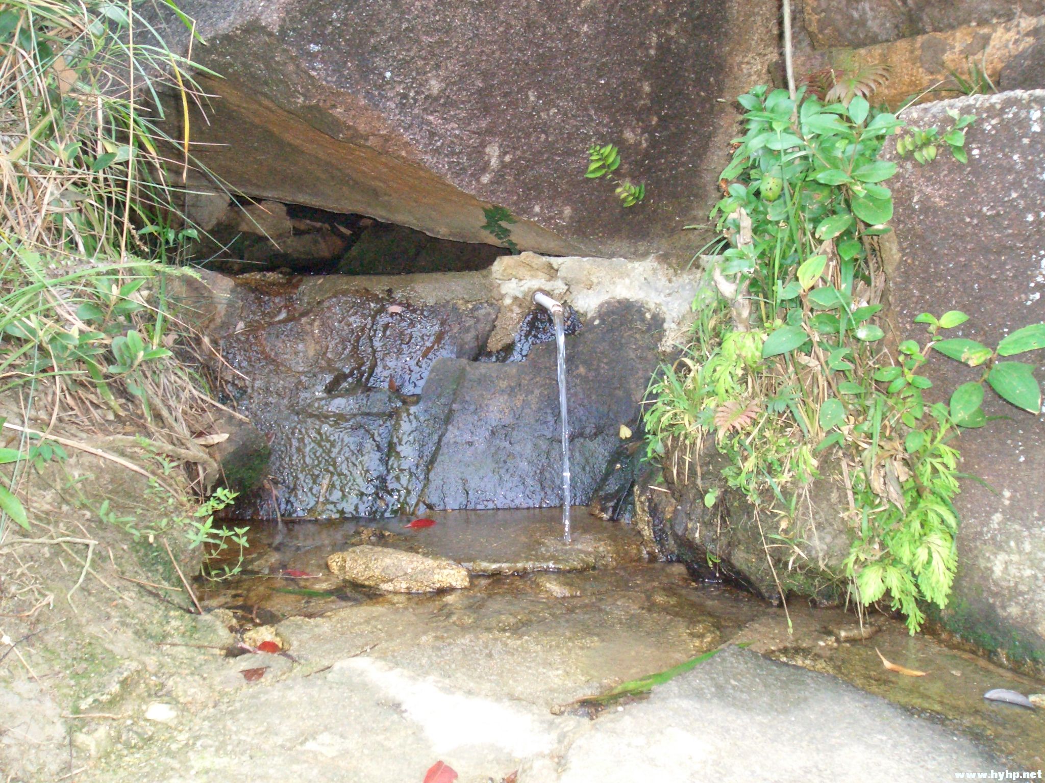 Ƭ 070.jpg