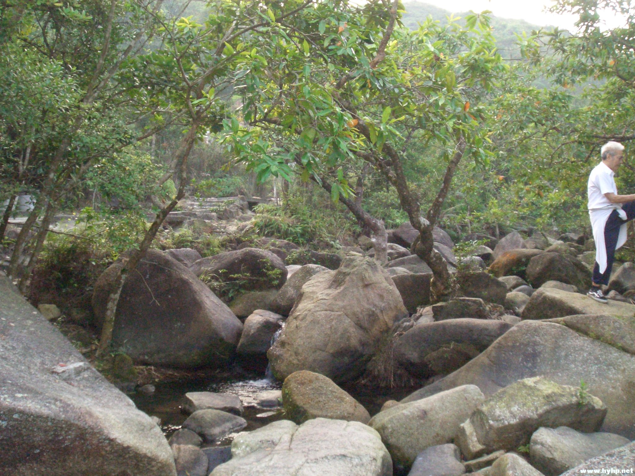 Ƭ 023.jpg