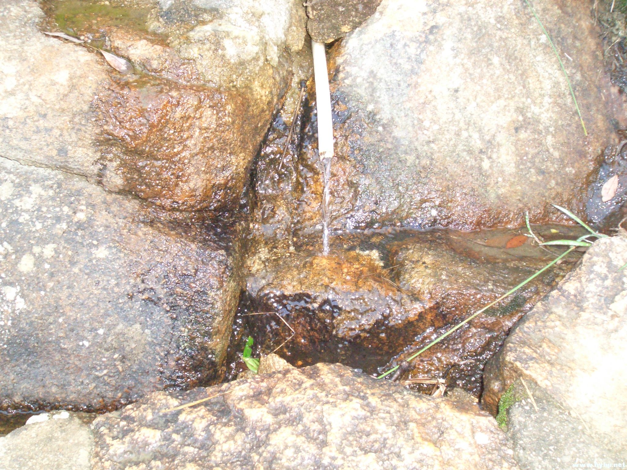 Ƭ 069.jpg