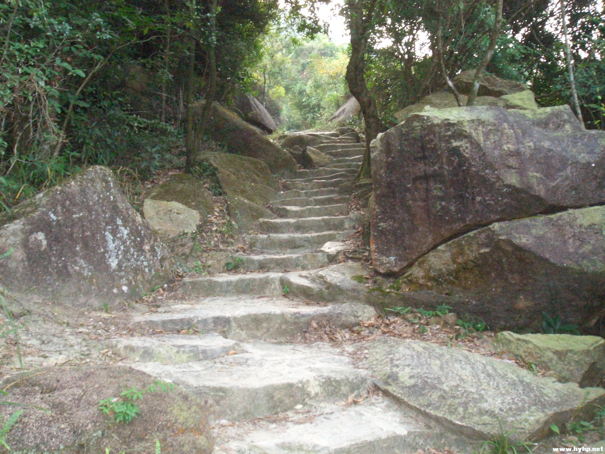 Ƭ 039.jpg