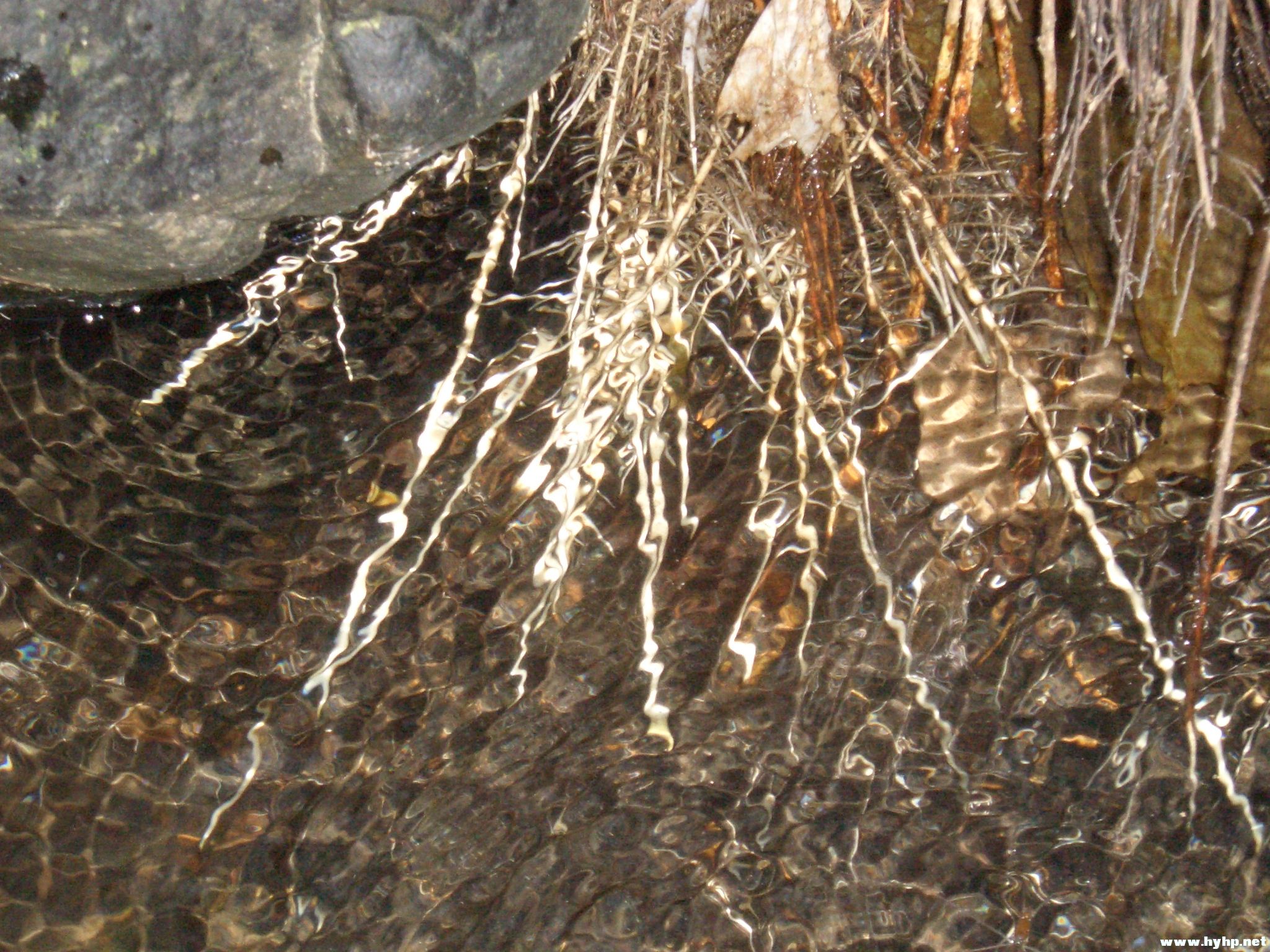 Ƭ 078.jpg