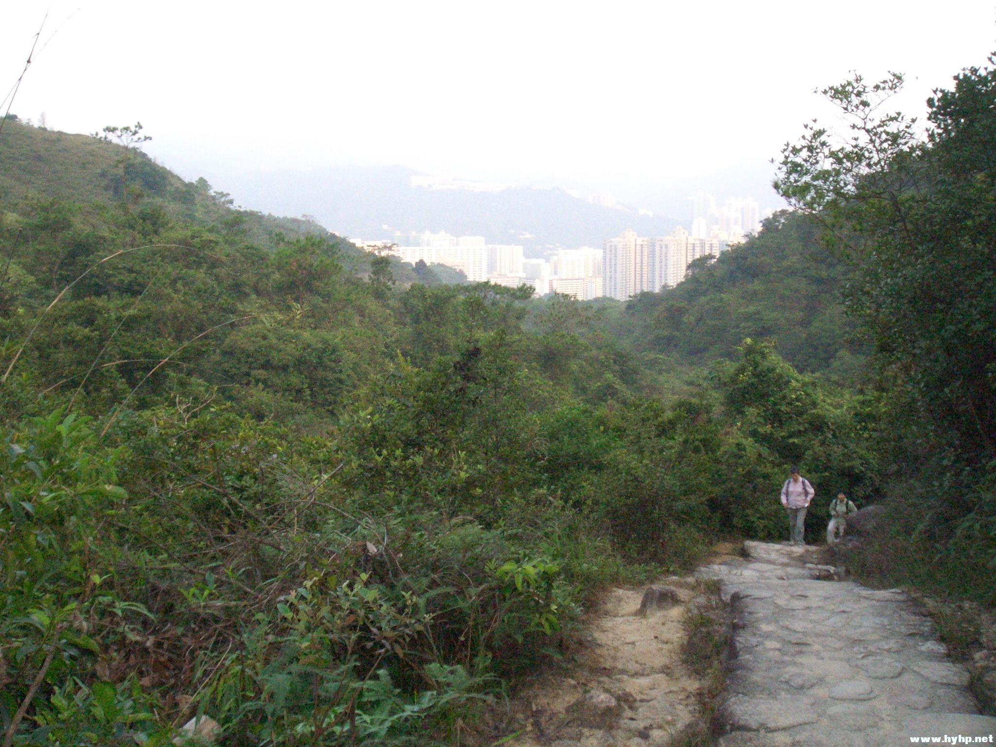 Ƭ 028.jpg