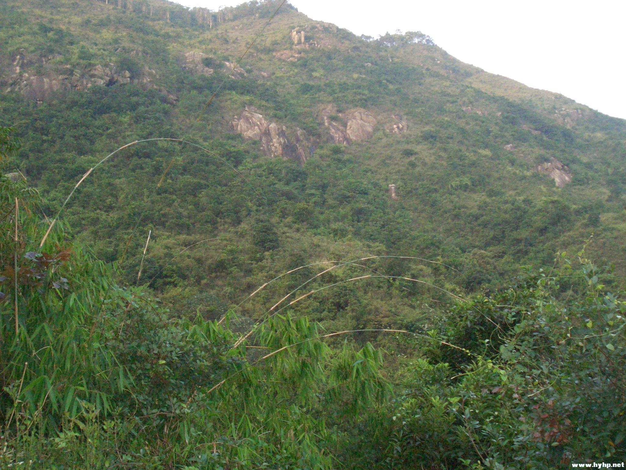 Ƭ 035.jpg