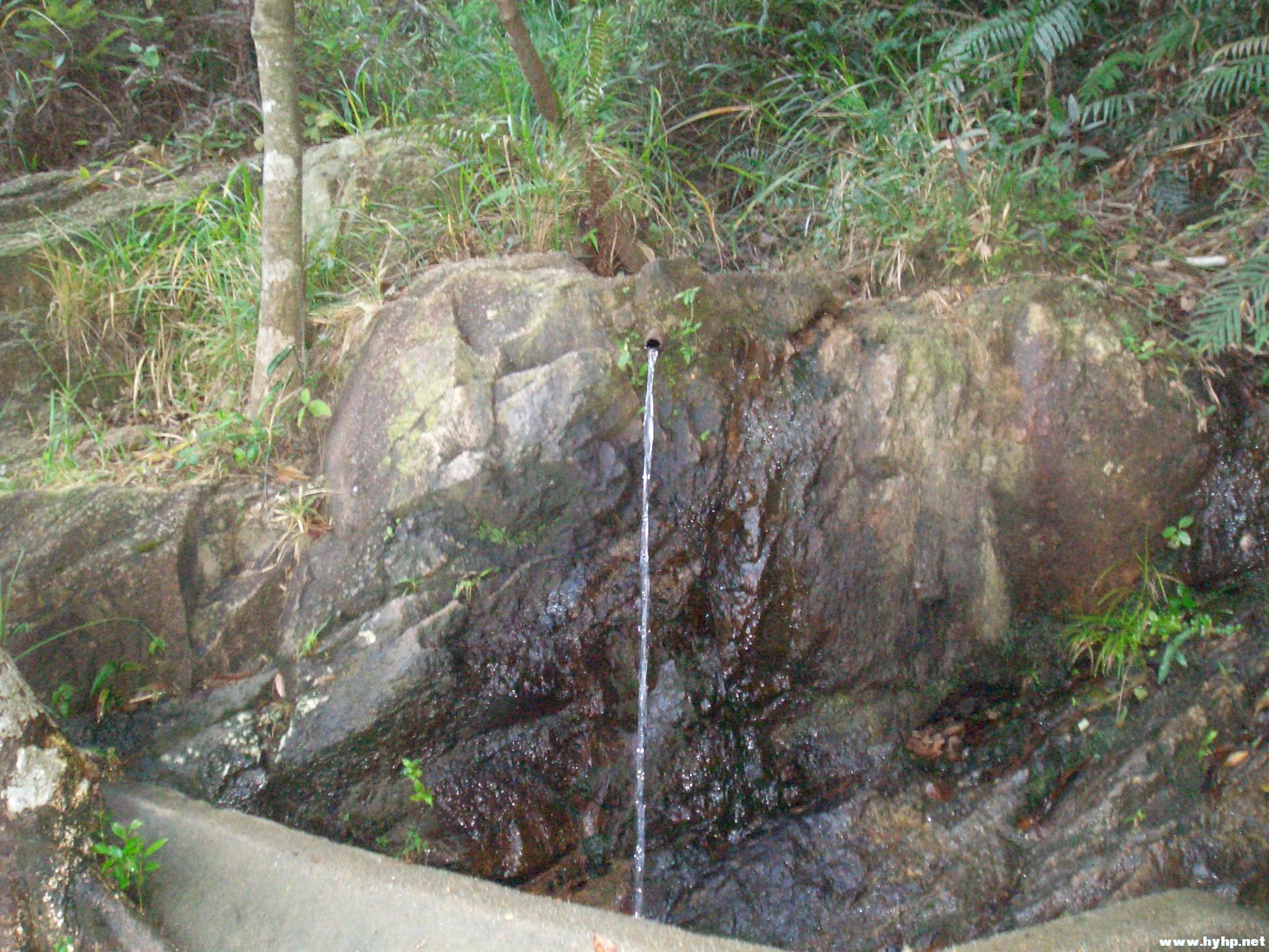 Ƭ 032.jpg