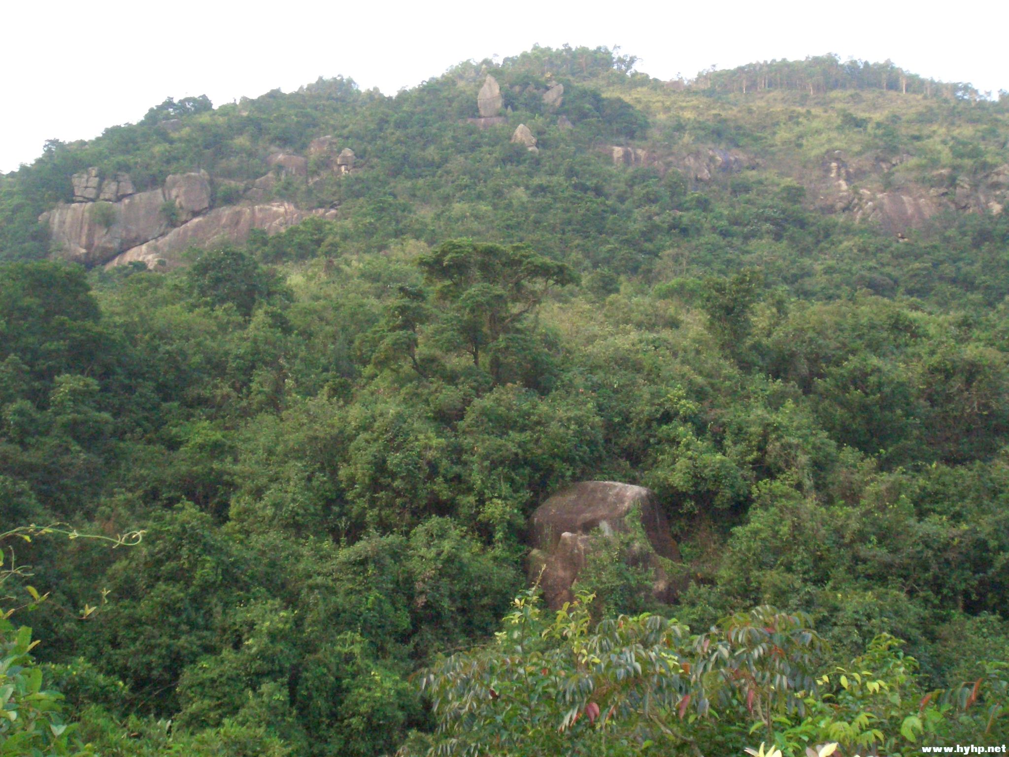 Ƭ 037.jpg
