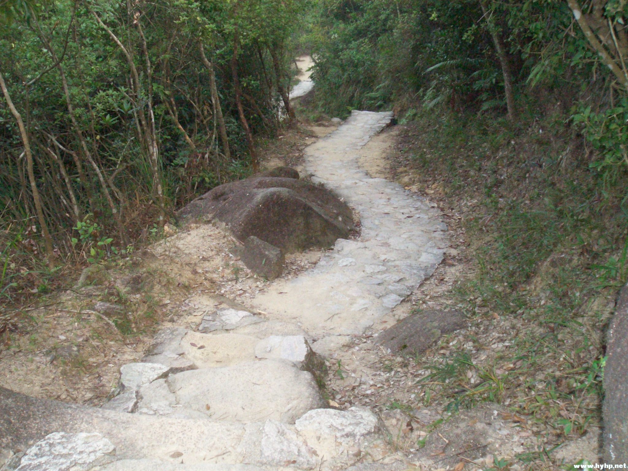 Ƭ 017.jpg