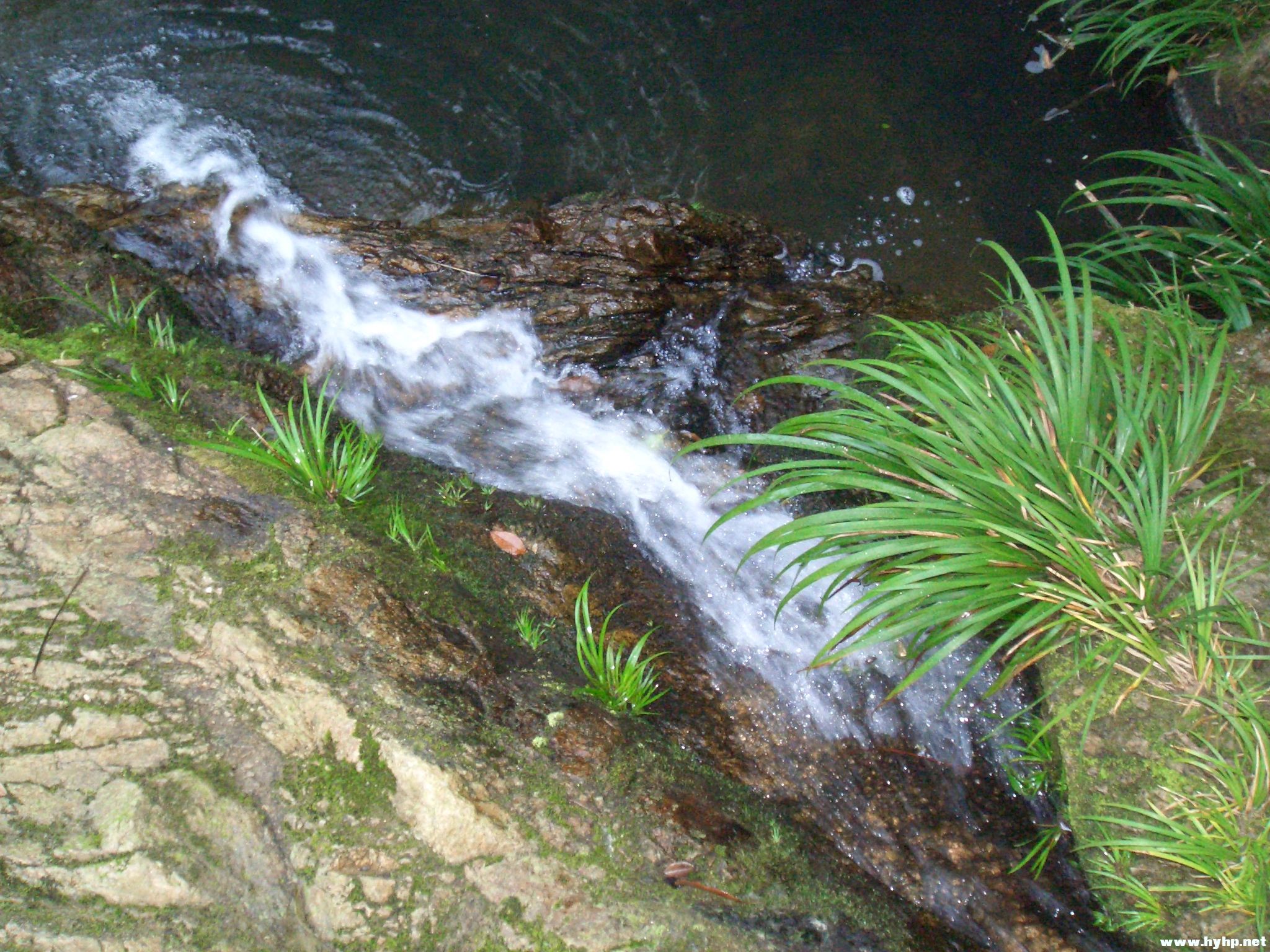 Ƭ 054.jpg
