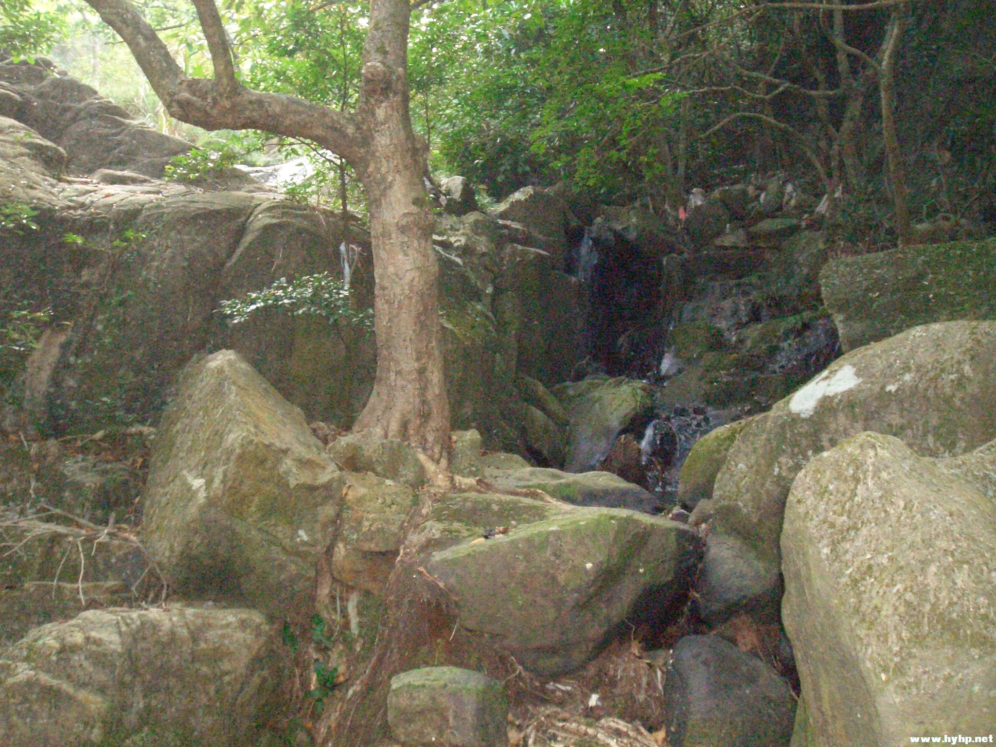 Ƭ 075.jpg
