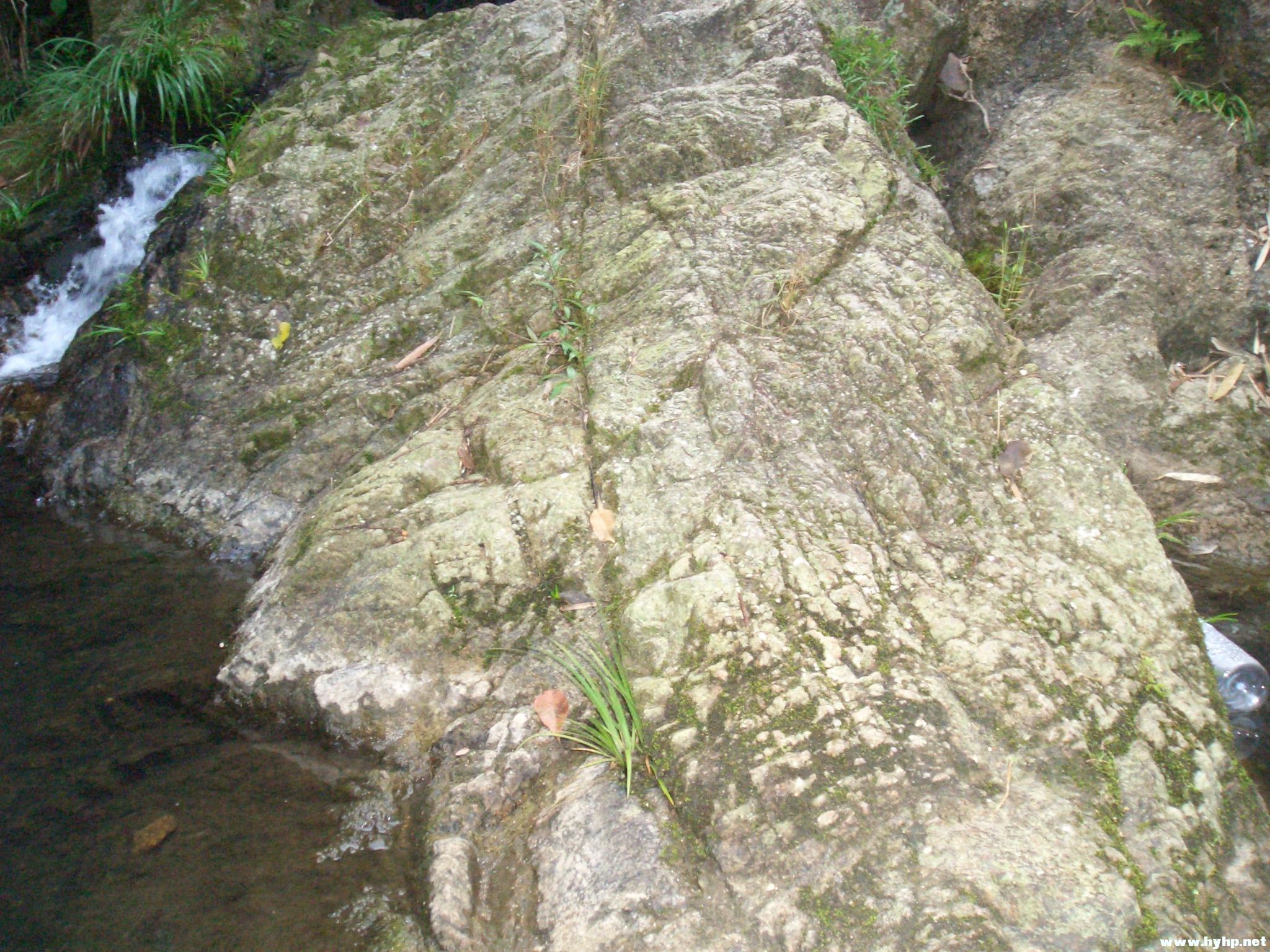 Ƭ 063.jpg