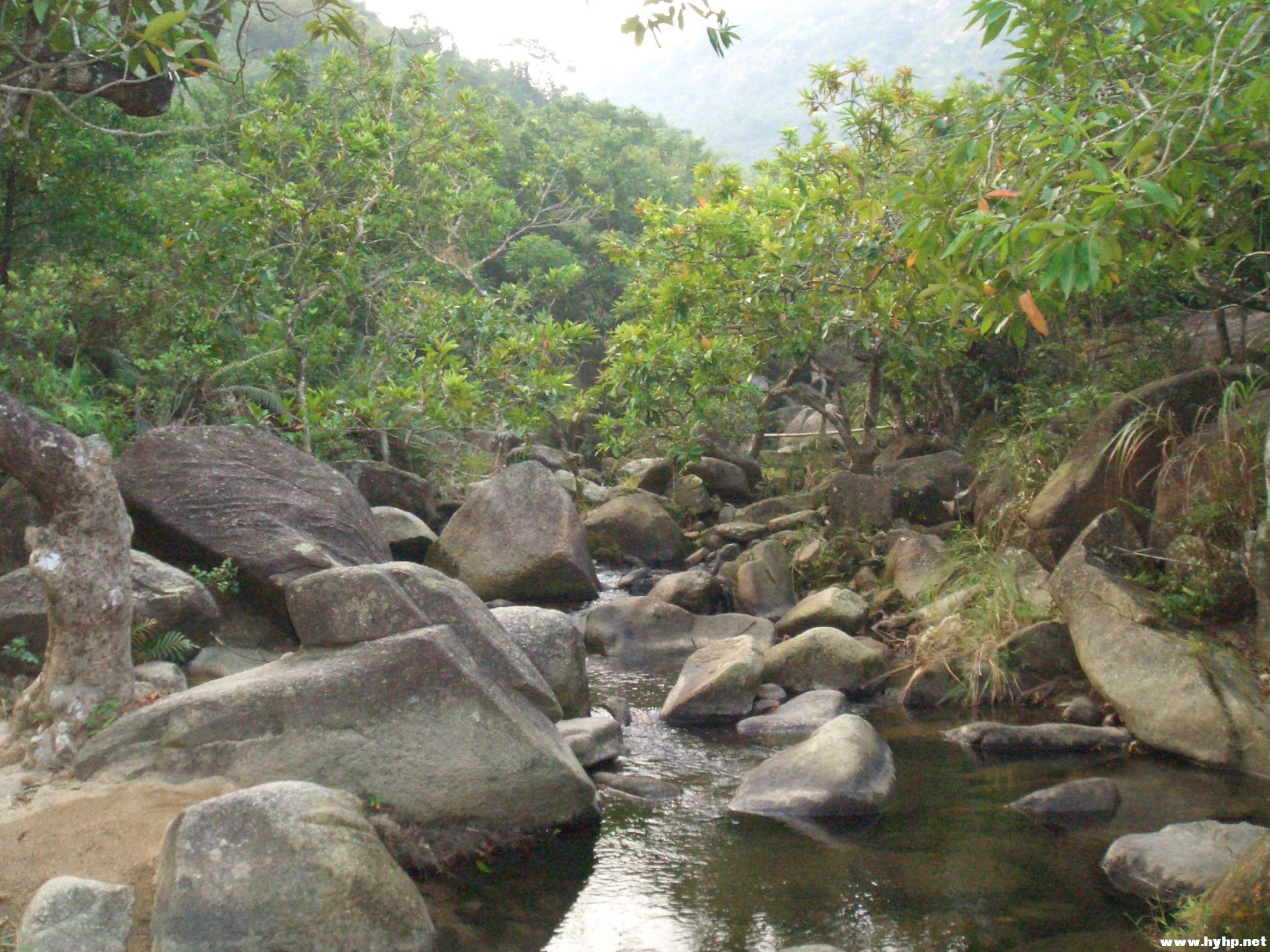 Ƭ 024.jpg
