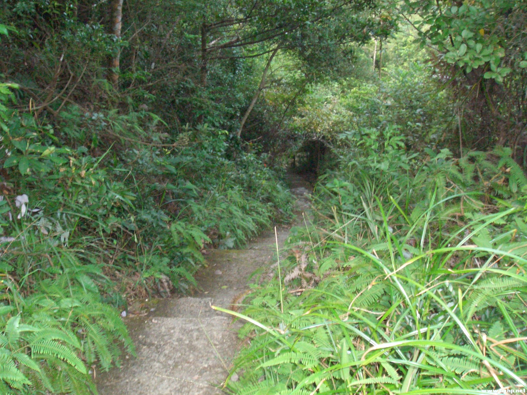 Ƭ 029.jpg
