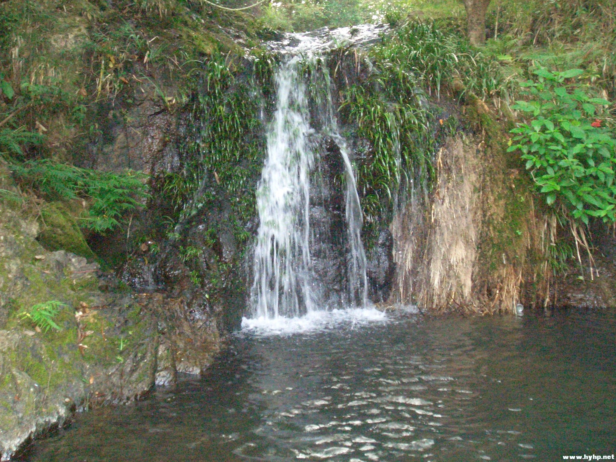 Ƭ 055.jpg