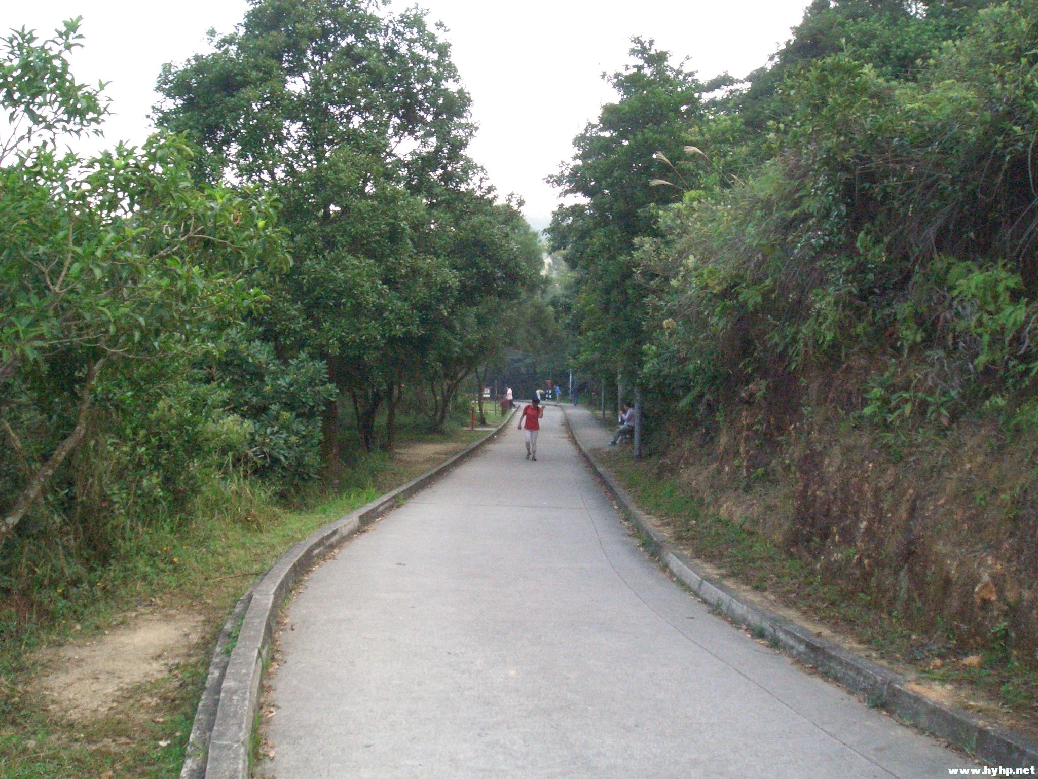 Ƭ 109.jpg