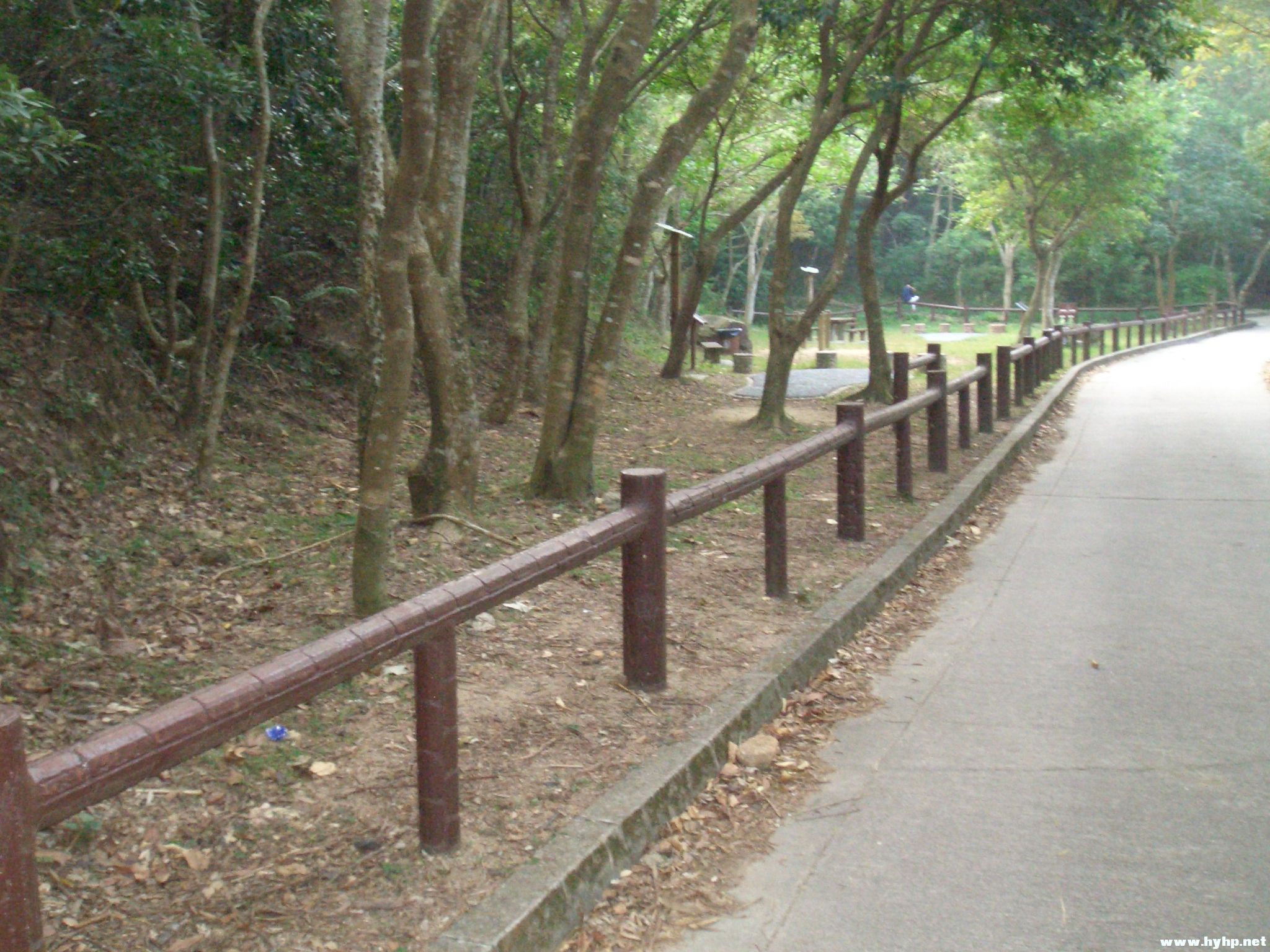 Ƭ 110.jpg
