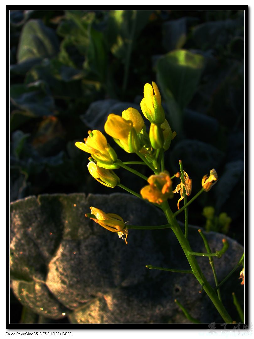 Ƭ 006.jpg