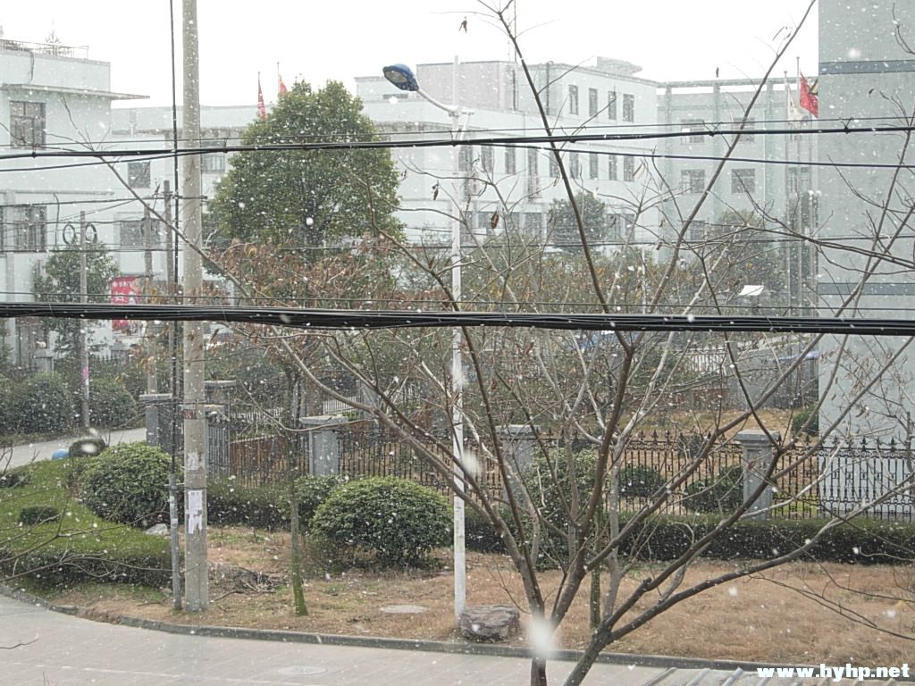 Ƭ 005.jpg