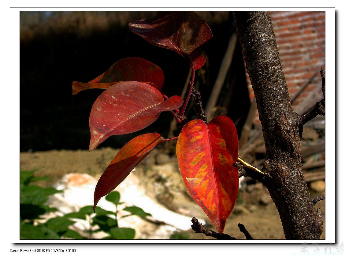 Ƭ 003.jpg
