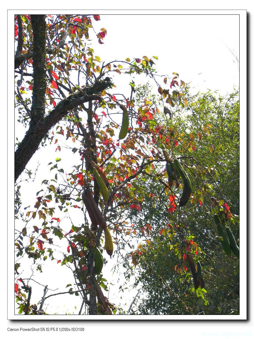 Ƭ 017.jpg