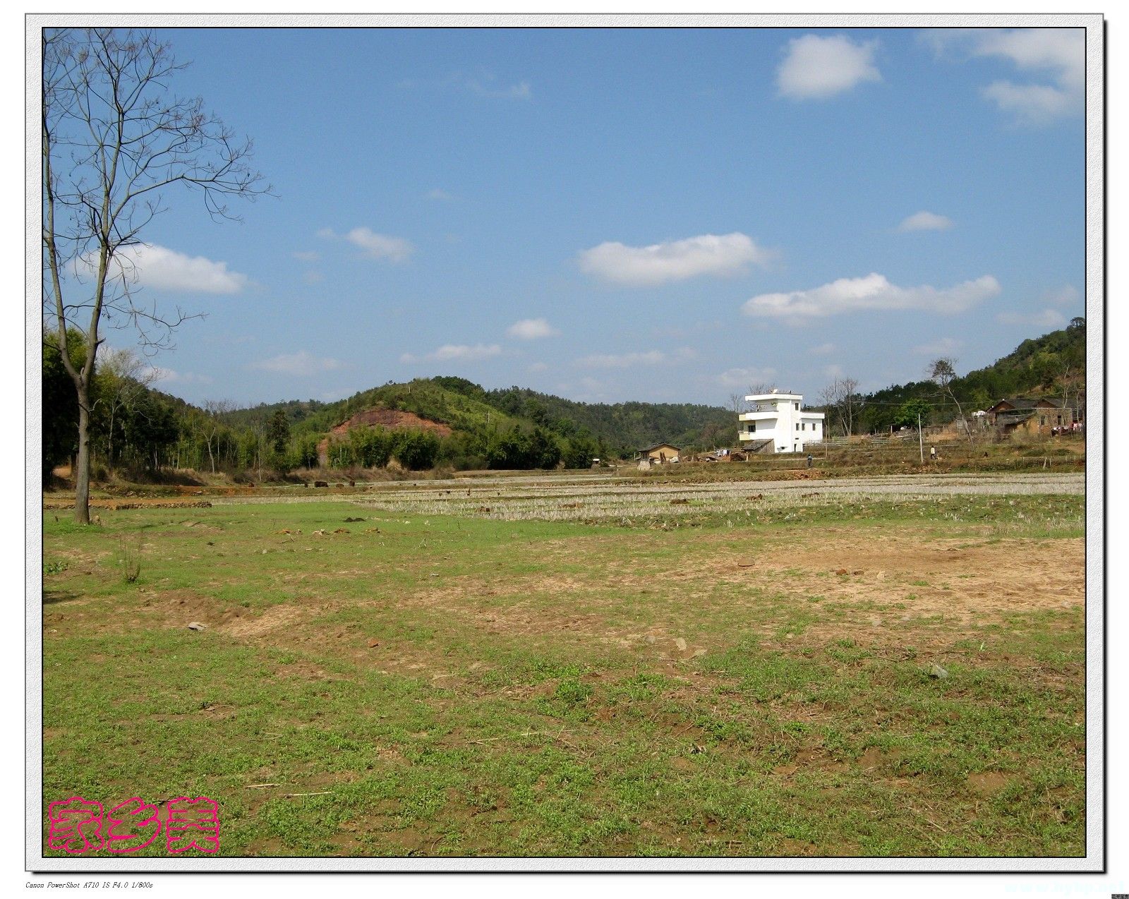 Ƭ 079.jpg