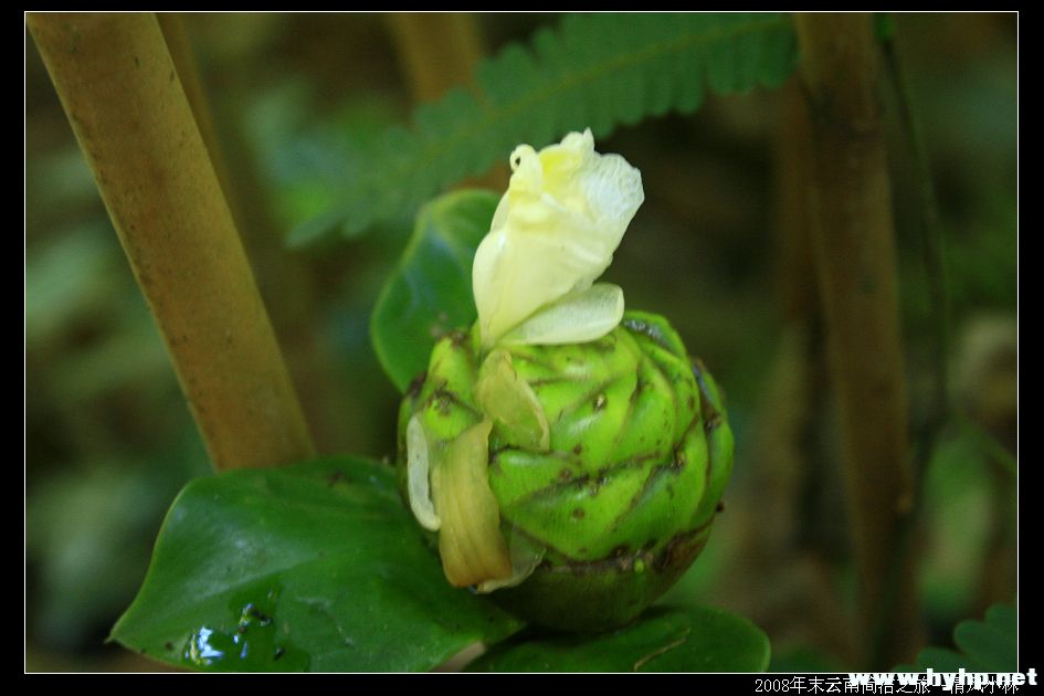 nEO_IMG_Ƭ 1060.jpg