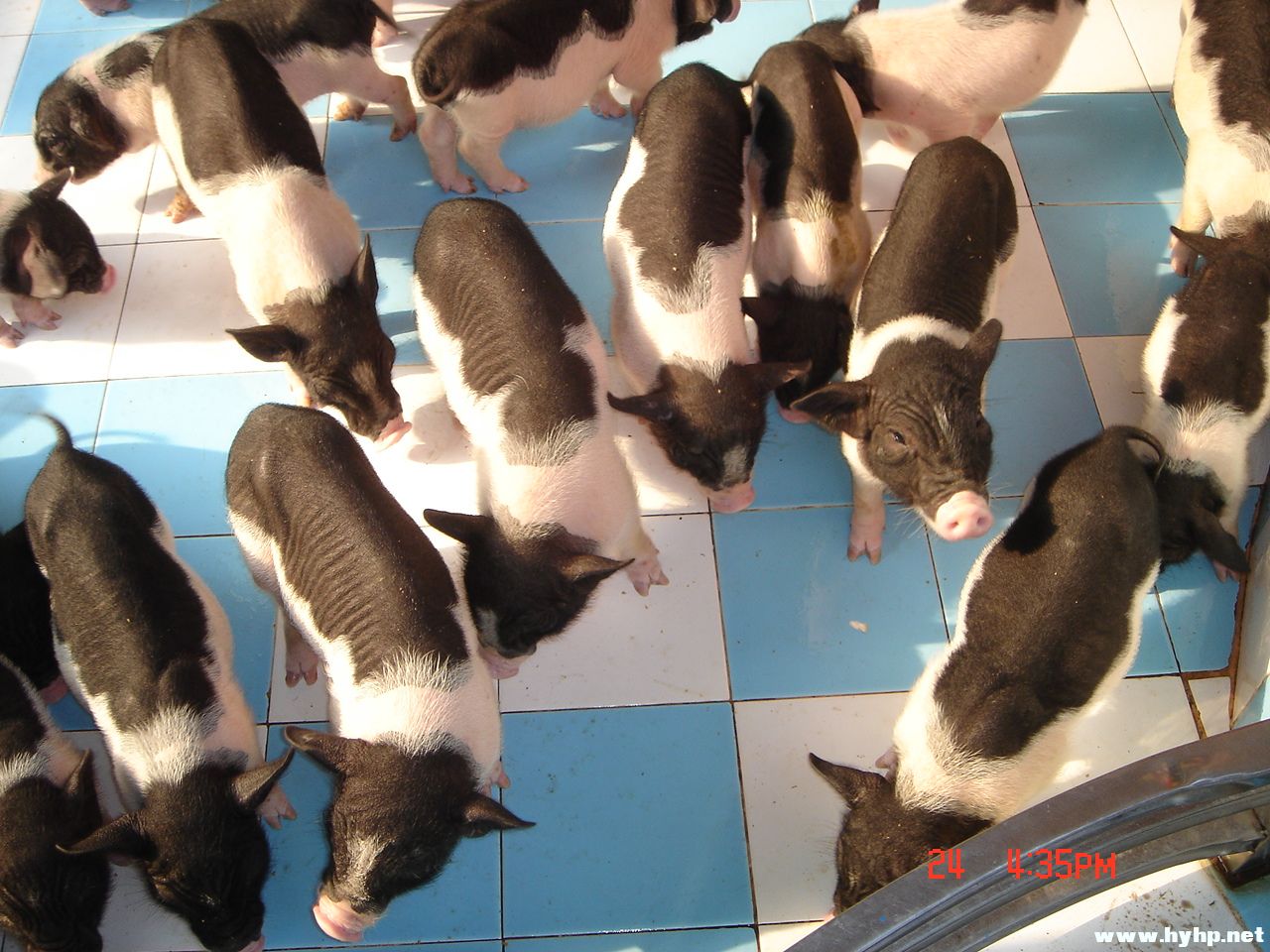 DSC01702_EqaM4EOhZ1fY.jpg