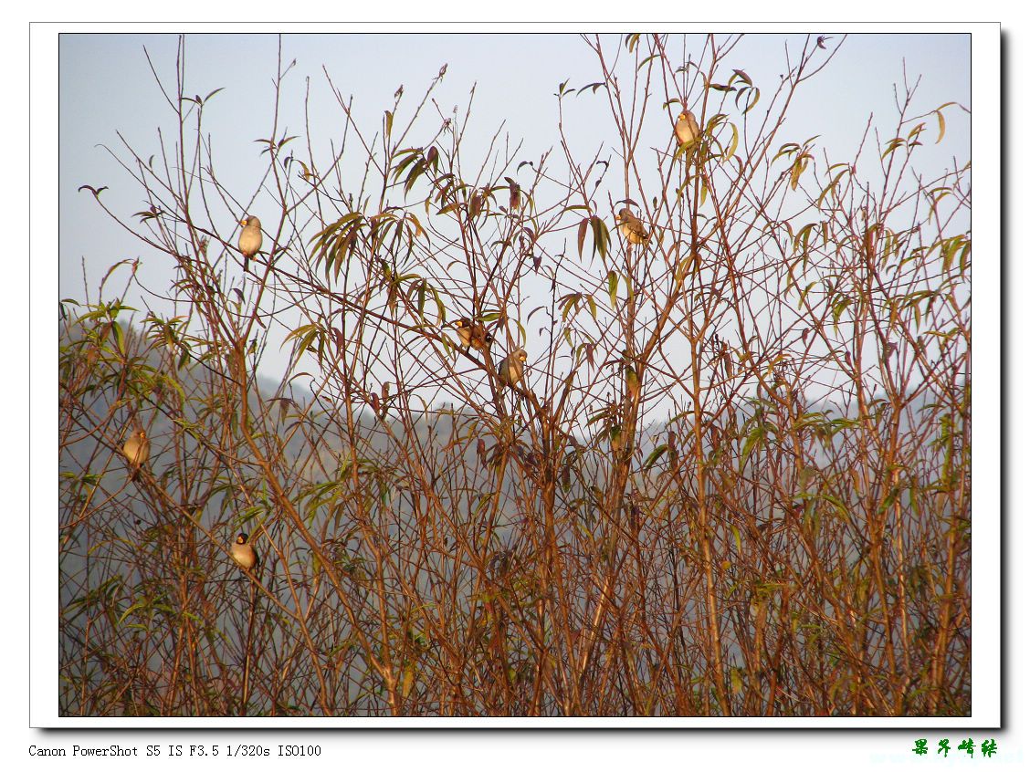 Ƭ 015.jpg