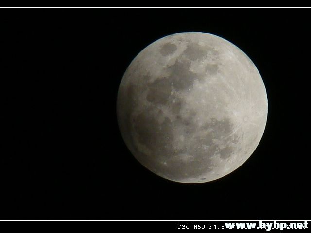 DSC05831.JPG