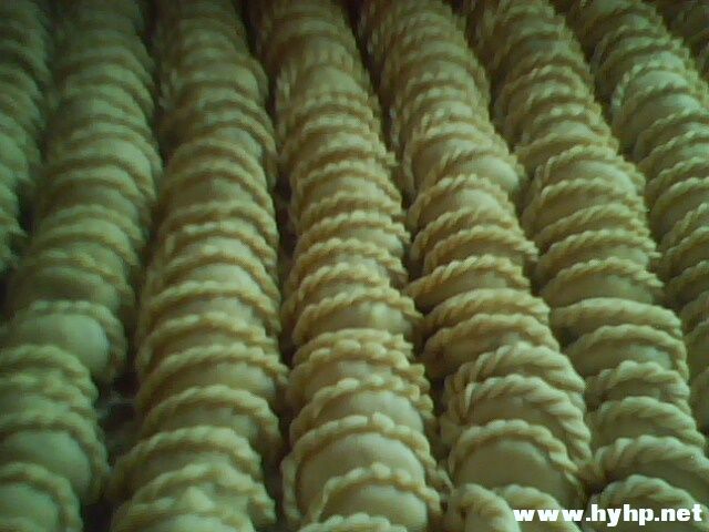 IMG0085A.jpg