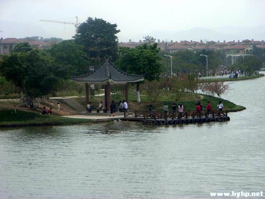 RIMG0050.JPG