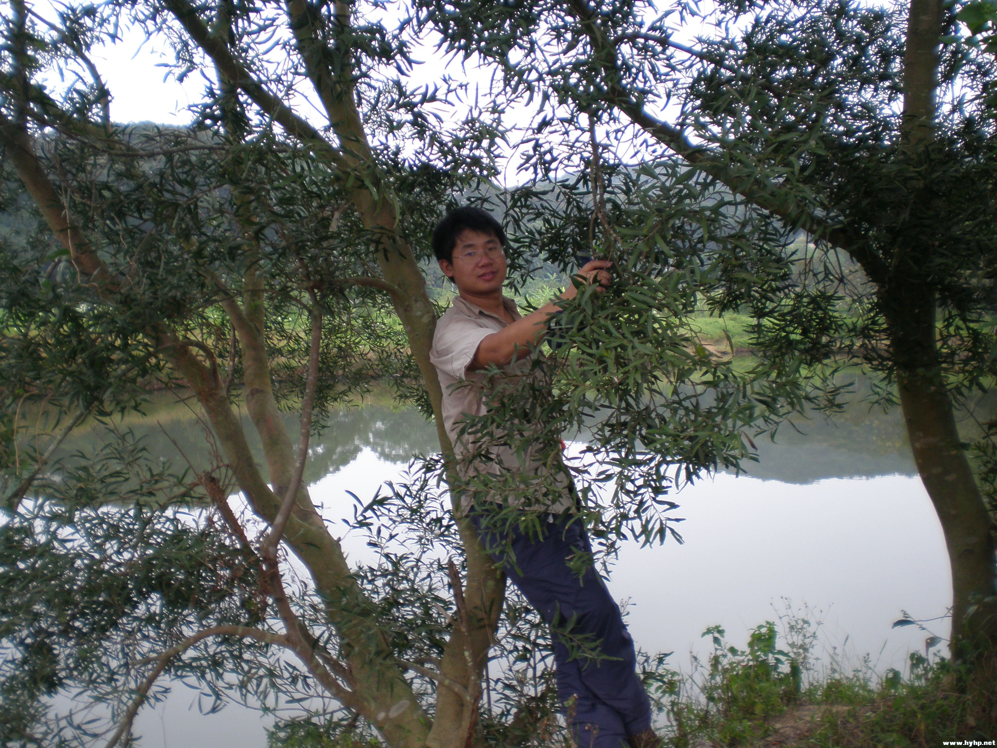PA031104.JPG